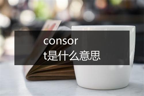 consort是什么意思