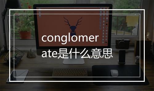 conglomerate是什么意思