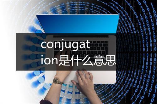 conjugation是什么意思