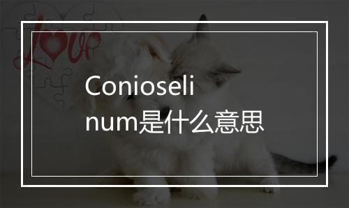 Conioselinum是什么意思