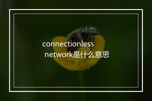 connectionless network是什么意思