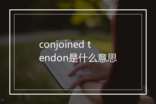 conjoined tendon是什么意思