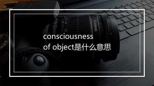 consciousness of object是什么意思