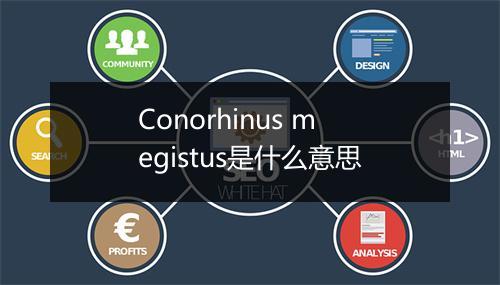 Conorhinus megistus是什么意思