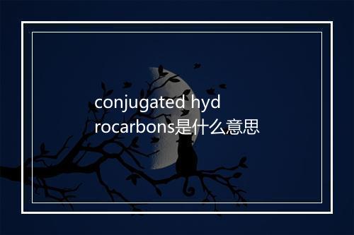 conjugated hydrocarbons是什么意思