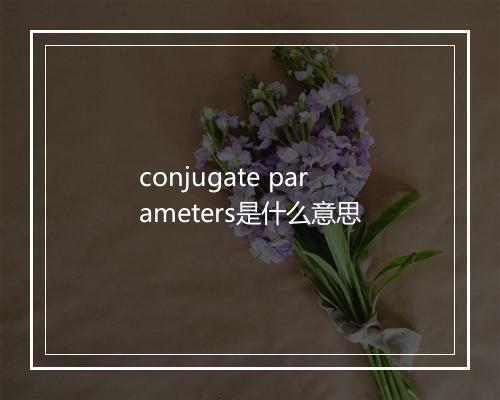 conjugate parameters是什么意思