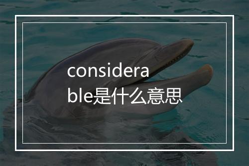 considerable是什么意思