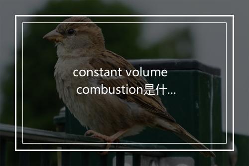 constant volume combustion是什么意思