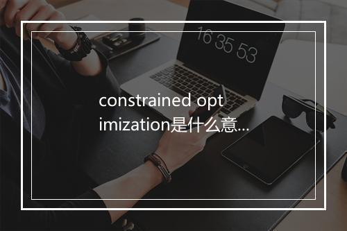 constrained optimization是什么意思