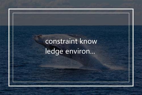 constraint knowledge environment是什么意思