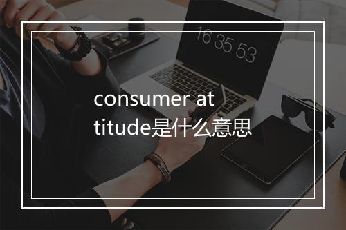 consumer attitude是什么意思