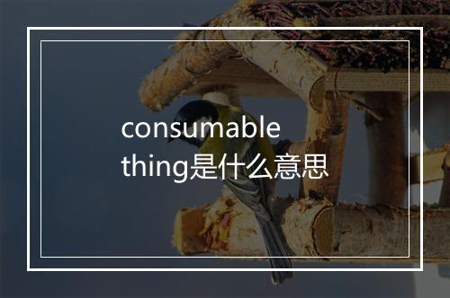 consumable thing是什么意思