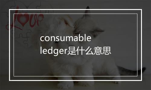 consumable ledger是什么意思