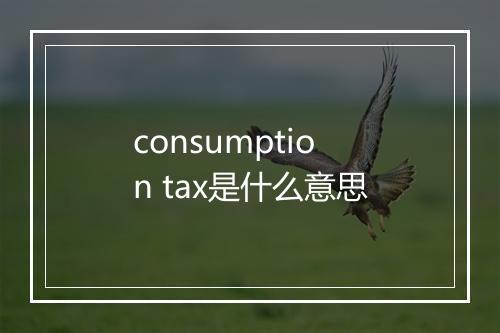 consumption tax是什么意思