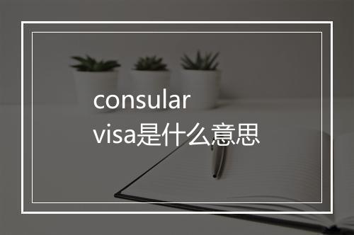 consular visa是什么意思