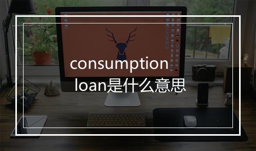 consumption loan是什么意思