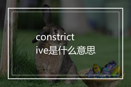 constrictive是什么意思