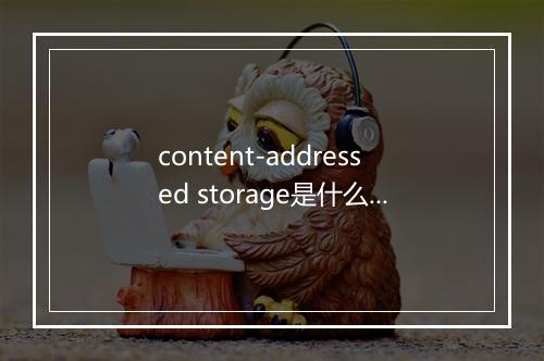 content-addressed storage是什么意思