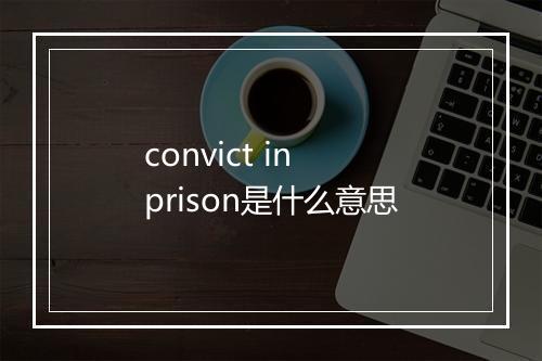 convict in prison是什么意思