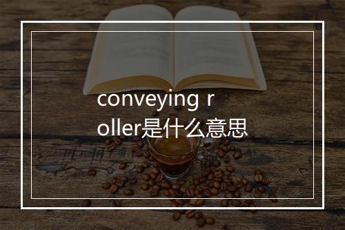 conveying roller是什么意思