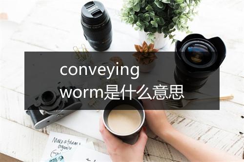 conveying worm是什么意思