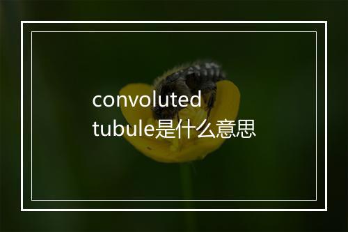 convoluted tubule是什么意思