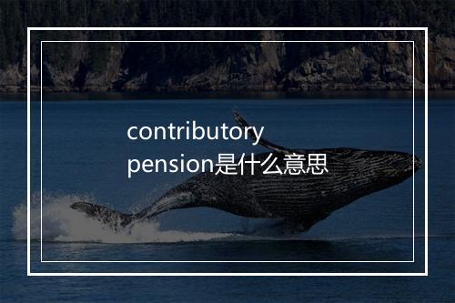 contributory pension是什么意思