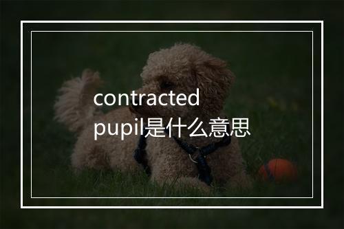 contracted pupil是什么意思