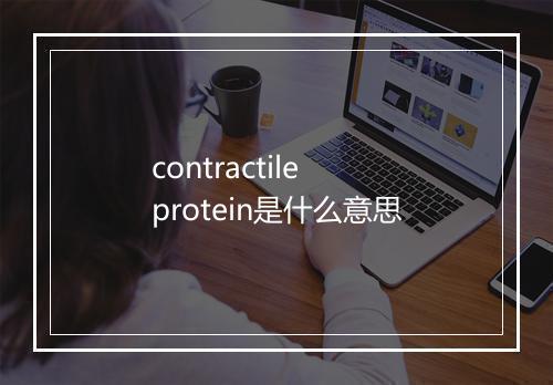 contractile protein是什么意思