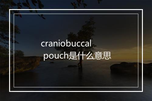 craniobuccal pouch是什么意思