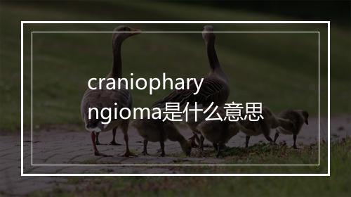 craniopharyngioma是什么意思