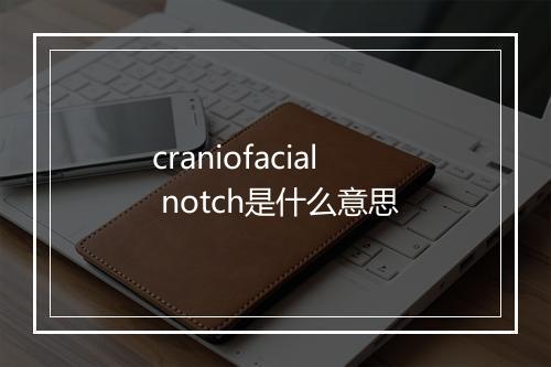 craniofacial notch是什么意思