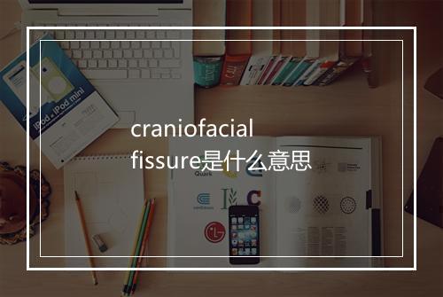 craniofacial fissure是什么意思