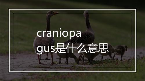 craniopagus是什么意思