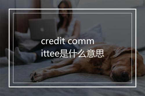 credit committee是什么意思