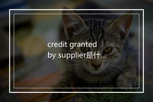 credit granted by supplier是什么意思