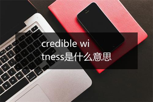 credible witness是什么意思