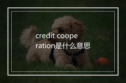 credit cooperation是什么意思