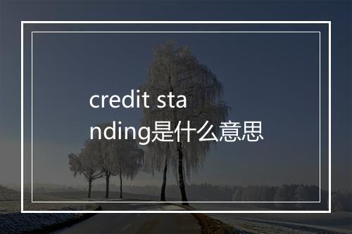 credit standing是什么意思