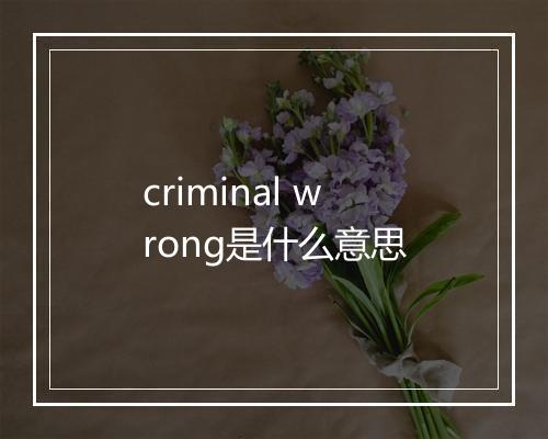 criminal wrong是什么意思