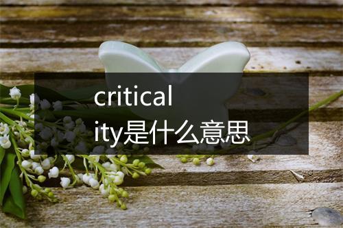 criticality是什么意思