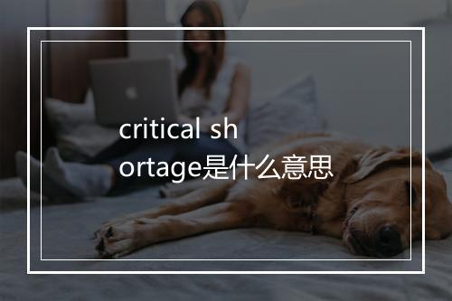 critical shortage是什么意思