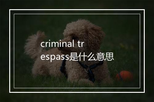 criminal trespass是什么意思