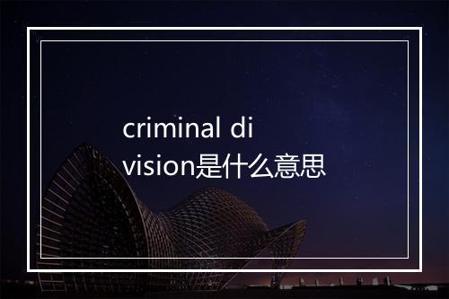 criminal division是什么意思