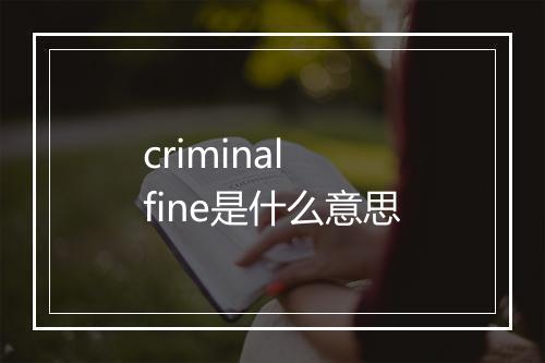 criminal fine是什么意思