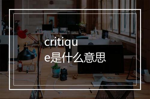 critique是什么意思