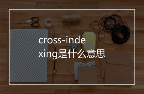 cross-indexing是什么意思