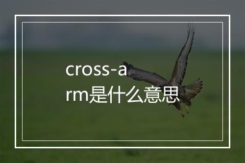 cross-arm是什么意思