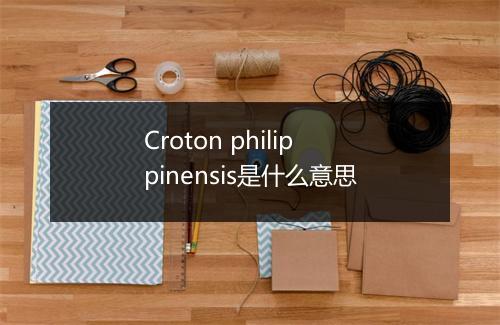 Croton philippinensis是什么意思