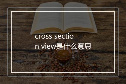 cross section view是什么意思